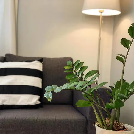 Helianthus Apartament *