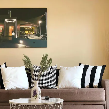 Helianthus * أرغوستولي