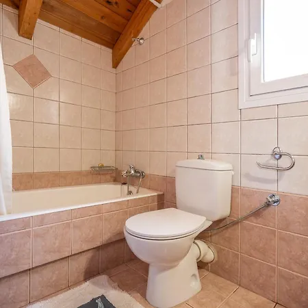 Helianthus * أرغوستولي