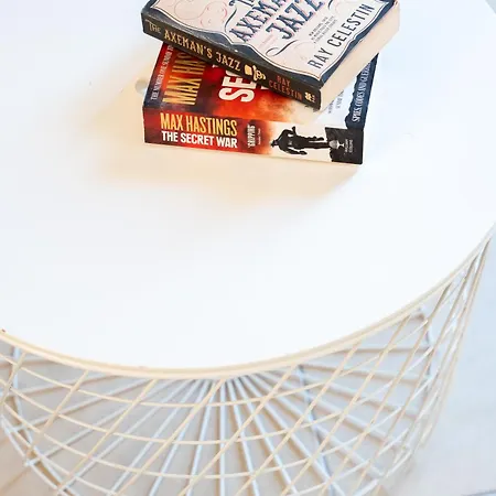 Helianthus شقة أرغوستولي