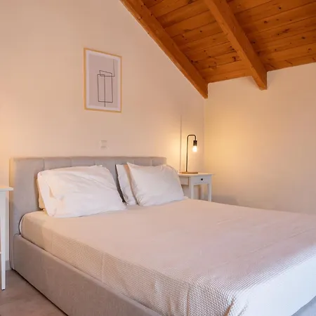 Helianthus * أرغوستولي