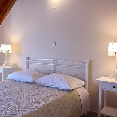 Helianthus أرغوستولي