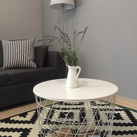 Helianthus شقة أرغوستولي