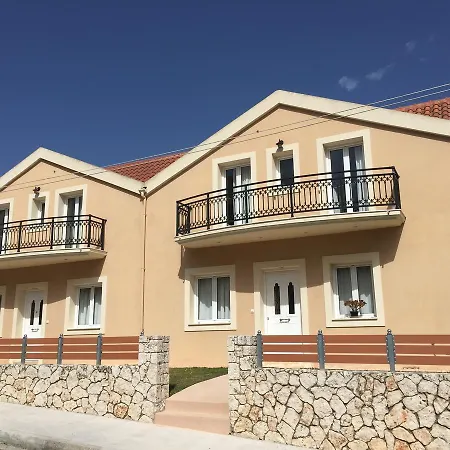 Helianthus * أرغوستولي